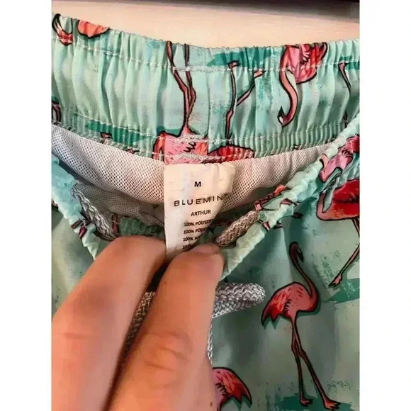 Bluemint Men’s Arthus Swim Trunks Shorts Stretch The Flamingo Size M Mesh Lined - Picture 4 of 7